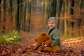 A little boy playing in the autumn park.