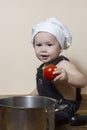 The little boy in a toque as a chef cook
