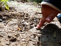 little boy touching finger on soil field at agriculture field