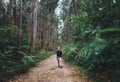 Little boy tourist backpacker walks through forest with giant tr