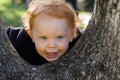 Little Boy In A Tree Royalty Free Stock Photo