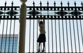 A little boy tries to climb a fence Royalty Free Stock Photo