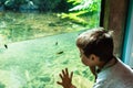 Little boy at Underground stream viewing station