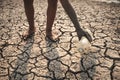 The little boy waiting for drinking water to live through this drought, Concept drought and crisis environment