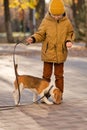 Little boy walk dog Royalty Free Stock Photo