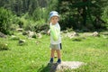 Little boy is walking with butterfly net and catching butterflies on green hills on sunny summer day Royalty Free Stock Photo