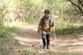 Boy is walking through the forest. Hiking in mountain with walking stick and backpack. Little discoverer