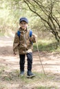 Little boy is walking through the forest. Hiking in mountain with walking stick and backpack. Little discoverer