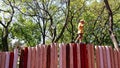 Little boy walking on wooden poling