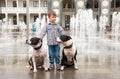 A little boy walks with two dogs. Royalty Free Stock Photo