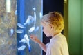 Little boy watches fishes in aquarium. Child exploring nature. Elementary student is on excursion in seaquarium Royalty Free Stock Photo