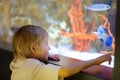 Little boy watches fishes in aquarium. Child exploring nature. Elementary student is on excursion in seaquarium Royalty Free Stock Photo