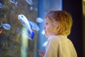 Little boy watches fishes in aquarium. Child exploring nature. Elementary student is on excursion in seaquarium Royalty Free Stock Photo