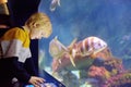 Little boy watches fishes in seaquarium Royalty Free Stock Photo