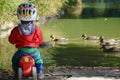 Little boy is watching ducks in the lake Royalty Free Stock Photo