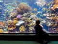 Little boy watching exotic fishes and corals Royalty Free Stock Photo