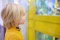 Little boy is watching a parrot sitting in a cage in zoo shop Royalty Free Stock Photo