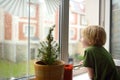 Little boy watching the rain outside at opened window. Bad weather - wind and downpour. Child waiting of rainfall finish. Royalty Free Stock Photo