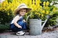 Little boy with watering can in summer park Royalty Free Stock Photo