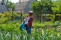 Little boy watering garden plants Royalty Free Stock Photo