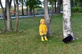 Little boy wearing yellow raincoat walking with his dog in the park under the rain Royalty Free Stock Photo