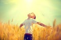 Little boy on a wheat field in the sunlight Royalty Free Stock Photo