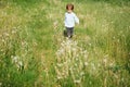 Little boy 3 year playing in flower meadow, happy activity, running and freedom