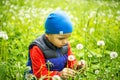 Little boy 4 - 5 years old playing outdoor on background. Young Boy Sitting In Field Blowing Dandelion. Royalty Free Stock Photo
