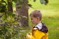 Little boy in a yellow jacket looking at tree