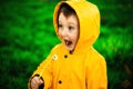 Little boy in a yellow jacket at sunset in the forest blowing a dandelion. Nature care concept.  Take care of the environment. Act Royalty Free Stock Photo