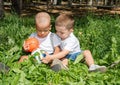 Little boys: African American and caucasian with soccer ball in park on nature at summer. Royalty Free Stock Photo