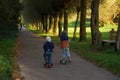 Little boys driving with their colorful scooters in a park surrounded by trees