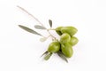 Little branch of green olives isolated Royalty Free Stock Photo