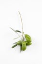 Little branch of green olives isolated Royalty Free Stock Photo