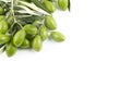 Little branch of green olives isolated Royalty Free Stock Photo