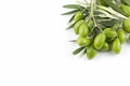 Little branch of green olives isolated Royalty Free Stock Photo