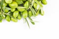 Little branch of green olives isolated