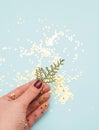 Little branch of pinecone in female handson blue background.