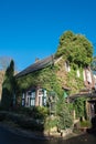 Little brick house with ivy in the sun