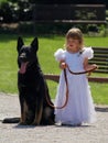 A little bridesmaid and her dog. Royalty Free Stock Photo