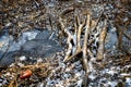 Little bridge made of branches first snow of the year Royalty Free Stock Photo