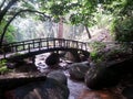 Little bridges, flowing waters, and the forest view.