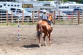 Little Britches Rodeo Royalty Free Stock Photo