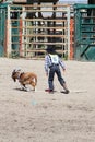 Little Britches Rodeo