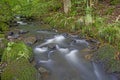 Little brook in forest Royalty Free Stock Photo