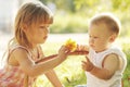 Little brother and sister playing on the nature Royalty Free Stock Photo