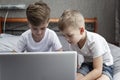 Little brothers are sitting at home in front of a laptop. Distance learning Royalty Free Stock Photo