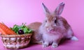 A little brown bunny is going to fall asleep, with a white rabbit being doing, eating carrots placed in a basket on a pink