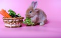 A little brown furry rabbit sitting on a vegetable basket. In the basket there are carrots and lettuce. It is placed on a pink