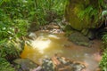 Little brown river in the rainforest